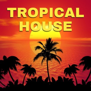 Tropical House: Best Electronic House Music Ever for Parties & Nightlife