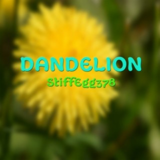 Dandelion