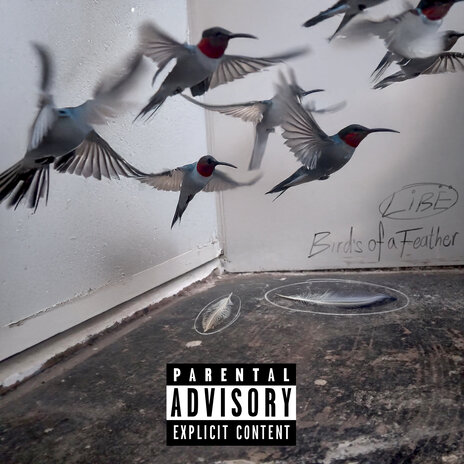 Birds of a Feather | Boomplay Music