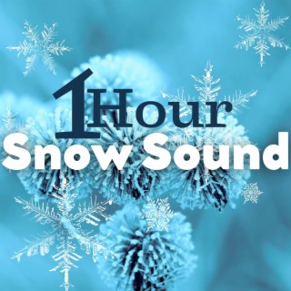 Snow Sound: 1 Hour of Arctic White Noise for Cozy Winter