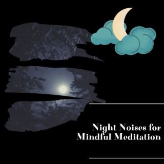 Night Noises for Mindful Meditation