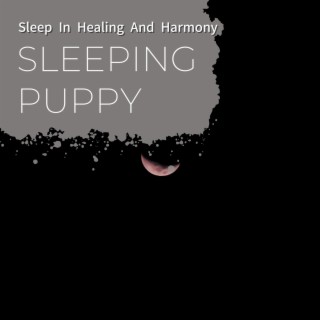 Sleep in Healing and Harmony