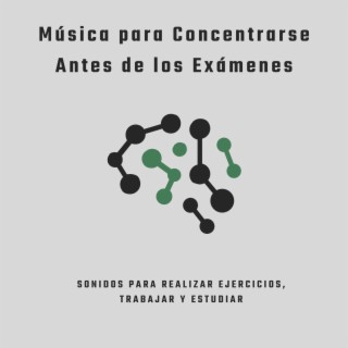 Música para Concentrarse Antes de los Exámenes: Sonidos para Realizar Ejercicios, Trabajar y Estudiar