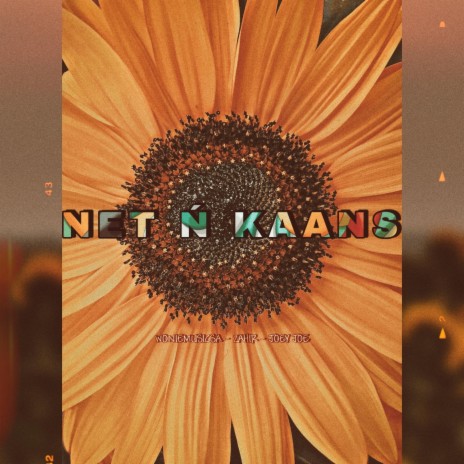 Net n kaans ft. Joey Joe & Zahir | Boomplay Music