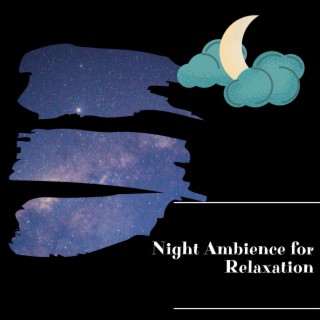 Night Ambience for Relaxation