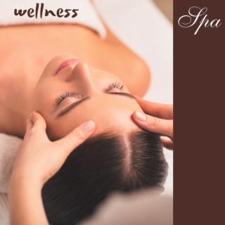 Wellness Spa: 50 Relaxing Piano Music and Soft New Age Nature Music for Spa, Sauna, Massage and Relax