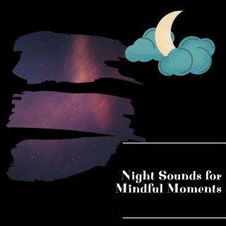 Night Sounds for Mindful Moments