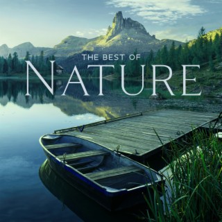The Best of Nature: Beautiful Piano, Guitar & Flute Music with Sounds of Rain, and Waves for Mental Tranquillity, Anxiety Relief and Stress Removal