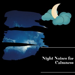 Night Noises for Calmness