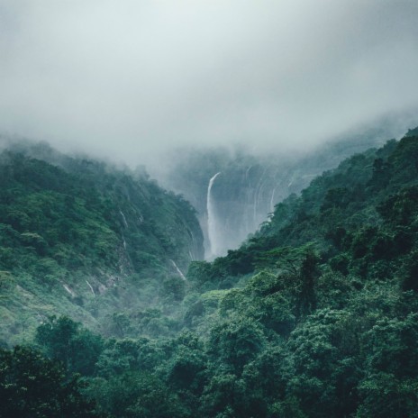 Sleeping in the Forest (Rain on a Tent) | Boomplay Music