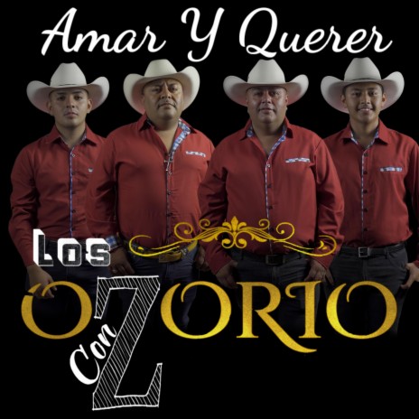 Amar Y Querer | Boomplay Music