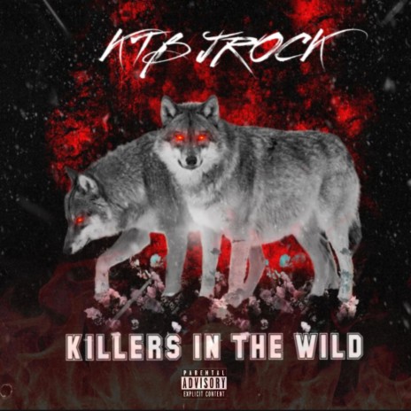 Killers In The Wild | Boomplay Music