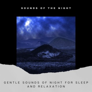 Gentle Sounds of Night for Sleep and Relaxation