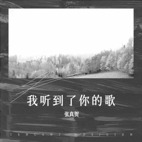 我听到了你的歌 | Boomplay Music