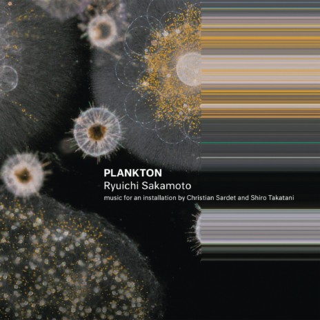 Plankton | Boomplay Music