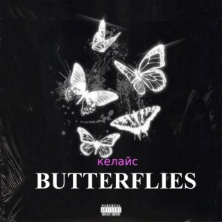 Buttereflies