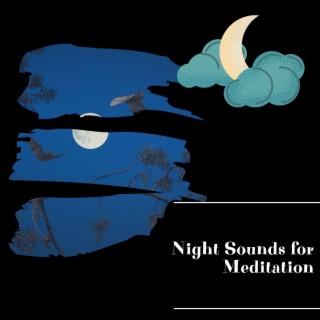 Night Sounds for Meditation