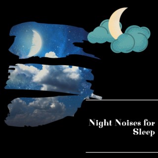 Night Noises for Sleep