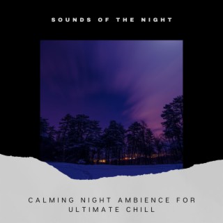 Calming Night Ambience for Ultimate Chill