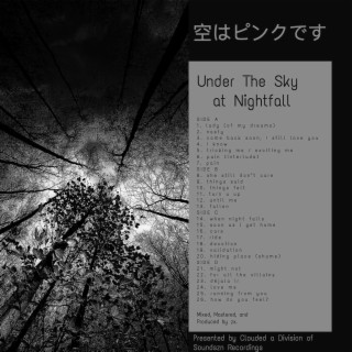 Under The Sky at Nightfall
