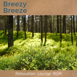 Relaxation Lounge Bgm