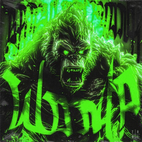 Womp (Brazilian Phonk) [Slowed + Reverb] | Boomplay Music
