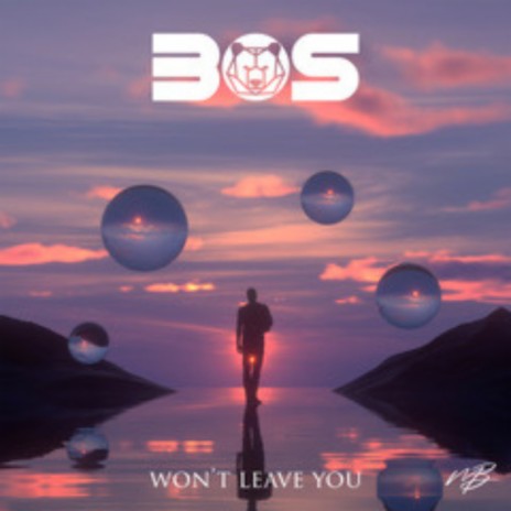 Won't Leave You | Boomplay Music
