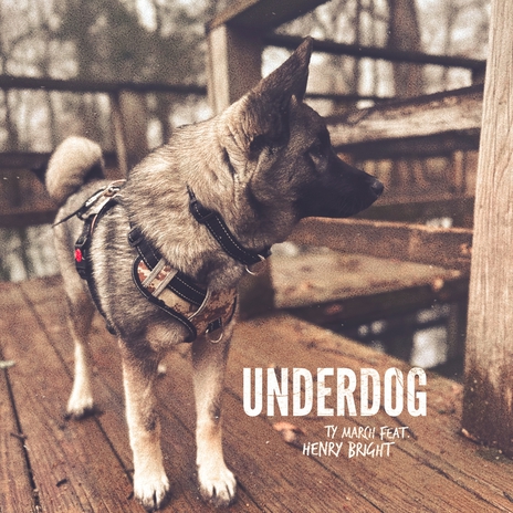 UNDERDOG (feat. Henry Bright) | Boomplay Music