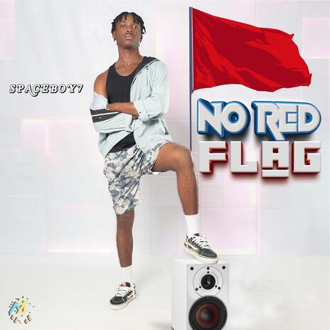 No Red Flags (NRF) | Boomplay Music