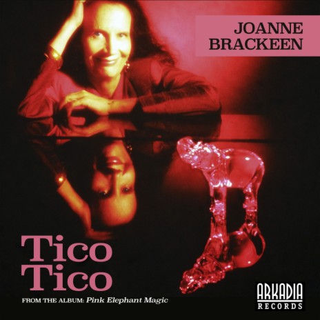 Tico Tico (feat. John Patitucci & Horacio El Negro Hernandez) | Boomplay Music