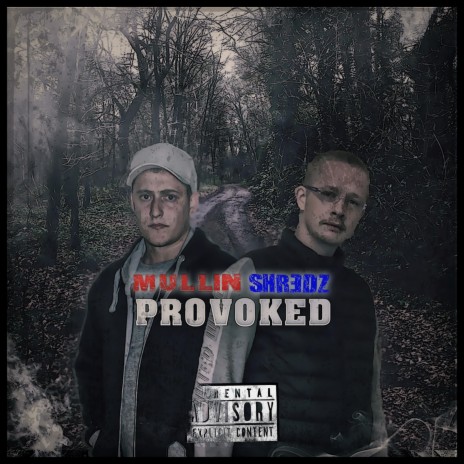 Provoked ft. Shredz | Boomplay Music