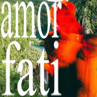 amor fati