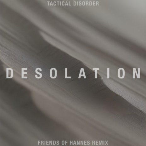 Desolation (Friends of Hannes Remix) | Boomplay Music