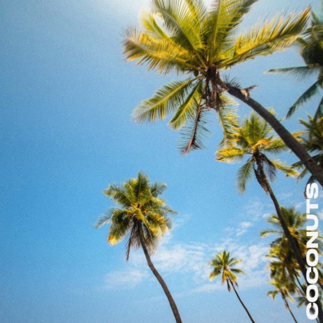 Coconuts | Boomplay Music