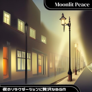 夜のリラクゼーションに贅沢なbgm