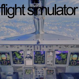 Flight Simulator