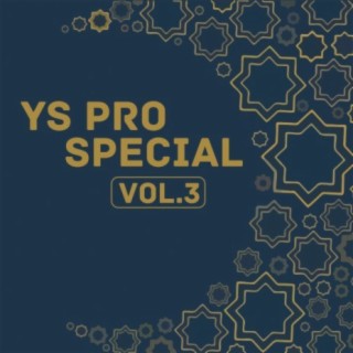 Ys Pro Special, Vol. 3