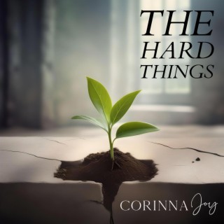 The Hard Things