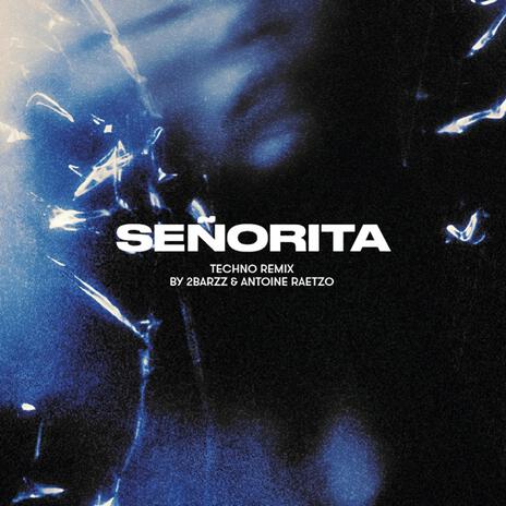 Señorita | Boomplay Music