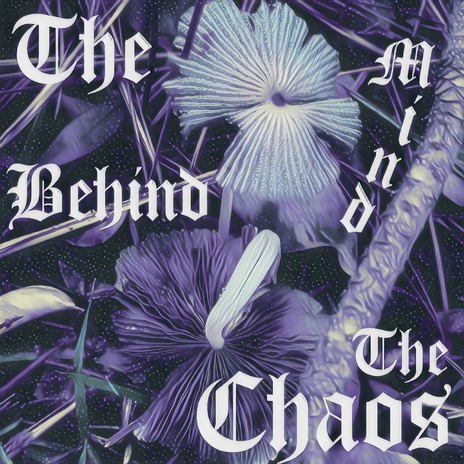 The Mind Behind The Chaos | Boomplay Music