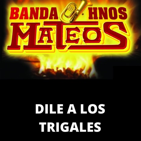 Dile a los Trigales | Boomplay Music