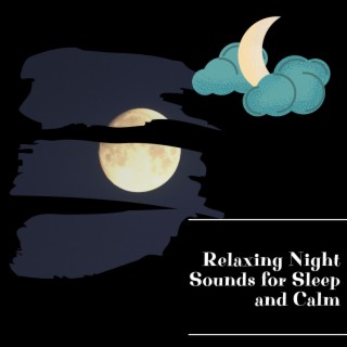 Relaxing Night Sounds for Sleep and Calm