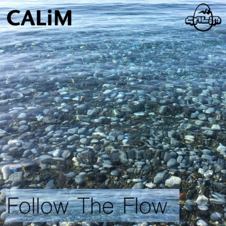 Follow the Flow | Boomplay Music