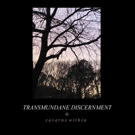 TRANSMUNDANE DISCERNMENT | Boomplay Music