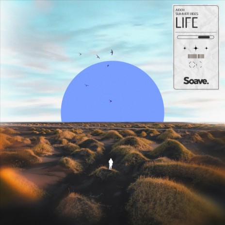 Life ft. Summer Vibes | Boomplay Music