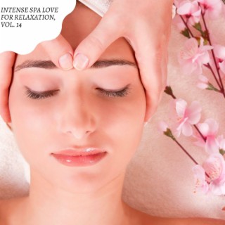 Intense Spa Love for Relaxation, Vol. 14