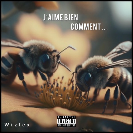 J'aime bien comment... | Boomplay Music