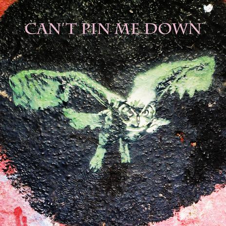 Can't Pin Me Down | Boomplay Music