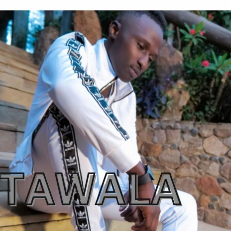 TAWALA | Boomplay Music