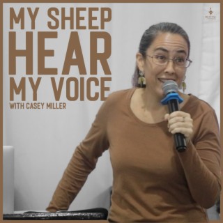 My Sheep Hear My Voice | Casey Miller